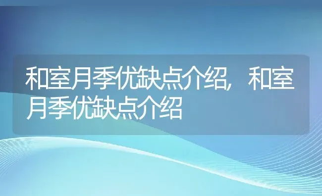 和室月季优缺点介绍,和室月季优缺点介绍 | 养殖常见问题