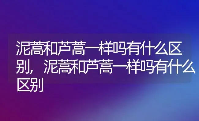 泥蒿和芦蒿一样吗有什么区别,泥蒿和芦蒿一样吗有什么区别 | 养殖常见问题