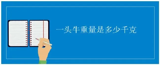 一头牛重量是多少千克 | 农业常识