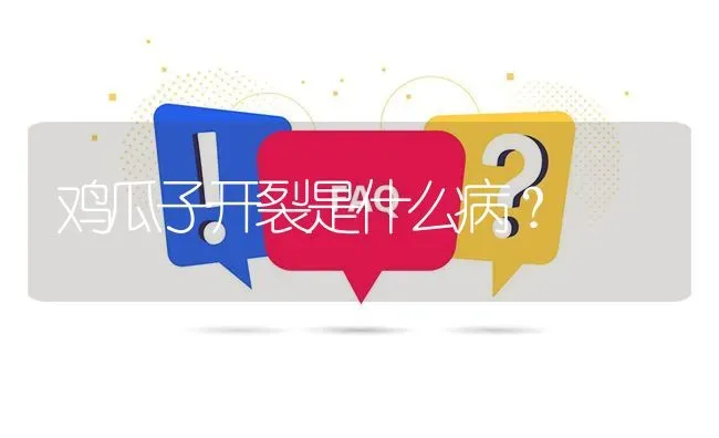 鸡瓜子开裂是什么病? | 养殖问题解答