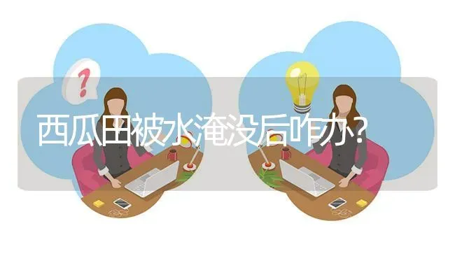 西瓜田被水淹没后咋办? | 养殖问题解答
