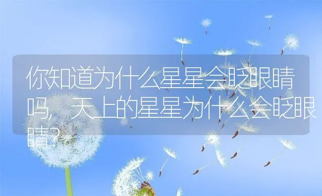 你知道为什么星星会眨眼睛吗,天上的星星为什么会眨眼睛？ | 养殖常见问题