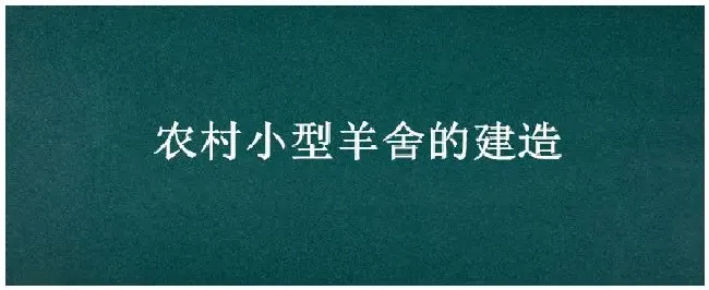 农村小型羊舍的建造 | 生活常识