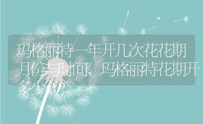 玛格丽特一年开几次花花期月份与时间,玛格丽特花期开多少久？ | 养殖常见问题