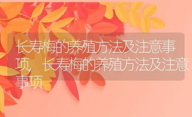 长寿梅的养殖方法及注意事项,长寿梅的养殖方法及注意事项 | 养殖常见问题