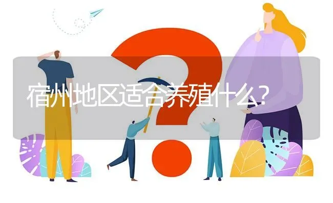 宿州地区适合养殖什么? | 养殖问题解答