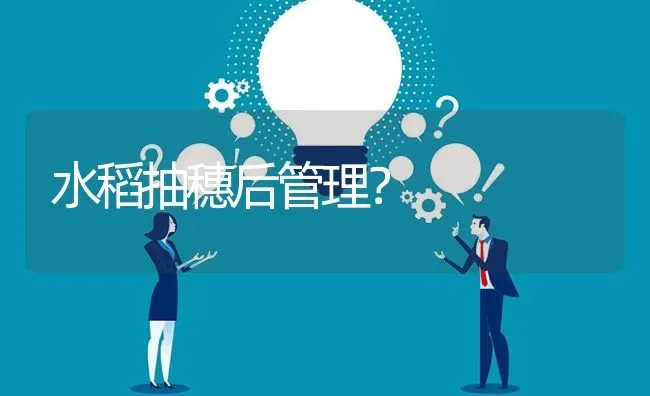 水稻抽穗后管理? | 养殖问题解答