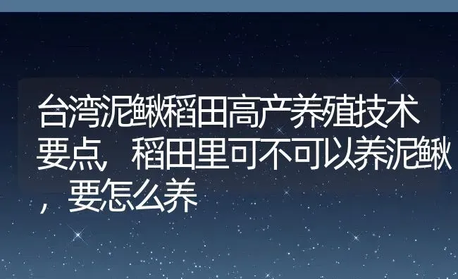 台湾泥鳅稻田高产养殖技术要点,稻田里可不可以养泥鳅，要怎么养 | 养殖常见问题