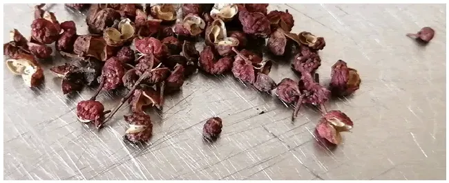 花椒树修剪方法 | 科普知识