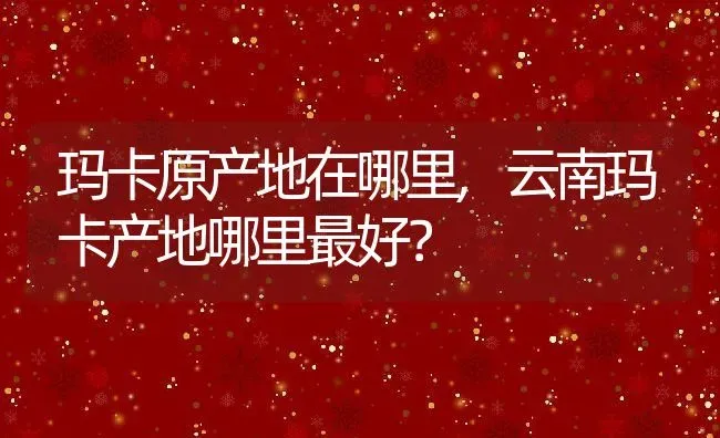 玛卡原产地在哪里,云南玛卡产地哪里最好？ | 养殖常见问题