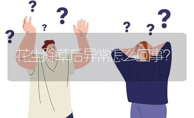 花生除草后异常怎么回事? | 养殖问题解答