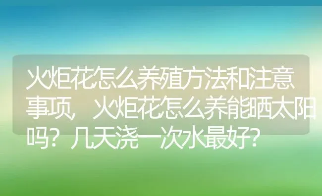 火炬花怎么养殖方法和注意事项,火炬花怎么养能晒太阳吗？几天浇一次水最好？ | 养殖常见问题