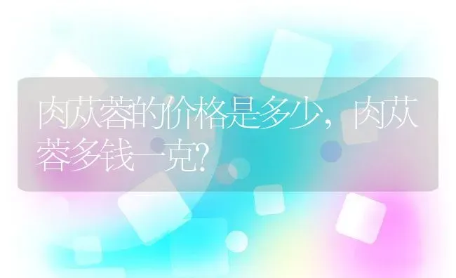 肉苁蓉的价格是多少,肉苁蓉多钱一克？ | 养殖常见问题