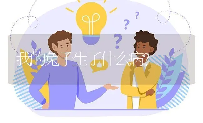 我的兔子生了什么病? | 养殖问题解答