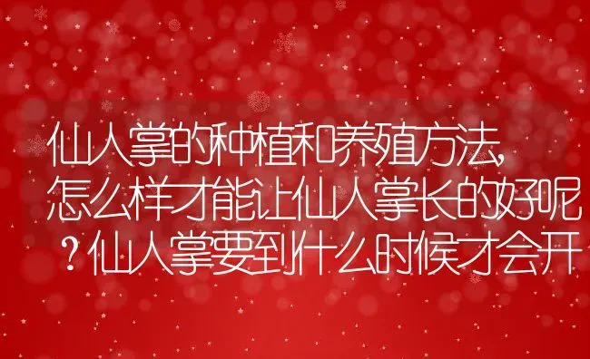 仙人掌的种植和养殖方法,怎么样才能让仙人掌长的好呢？仙人掌要到什么时候才会开花 | 养殖常见问题