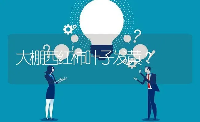 大棚西红柿叶子发黄? | 养殖问题解答