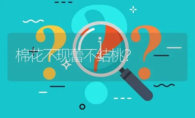 棉花不现蕾不结桃? | 养殖问题解答