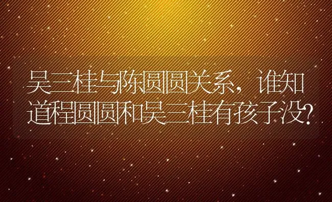 吴三桂与陈圆圆关系,谁知道程圆圆和吴三桂有孩子没？ | 养殖常见问题