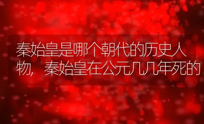 秦始皇是哪个朝代的历史人物,秦始皇在公元几几年死的 | 养殖常见问题