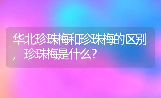 华北珍珠梅和珍珠梅的区别,珍珠梅是什么？ | 养殖常见问题