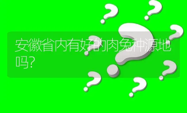 安徽省内有好的肉兔种源地吗? | 养殖问题解答