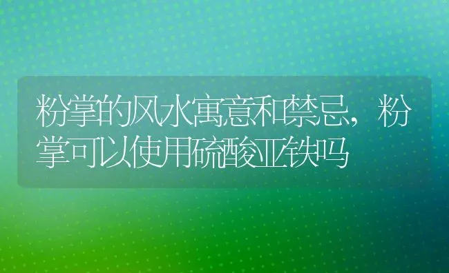 粉掌的风水寓意和禁忌,粉掌可以使用硫酸亚铁吗 | 养殖常见问题