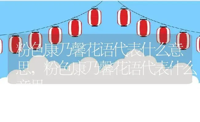 粉色康乃馨花语代表什么意思,粉色康乃馨花语代表什么意思 | 养殖常见问题