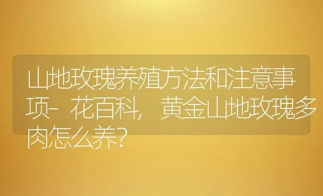 山地玫瑰养殖方法和注意事项–花百科,黄金山地玫瑰多肉怎么养？ | 养殖常见问题