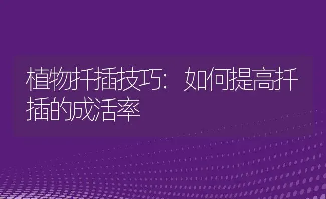 耙耙柑什么时候成熟,耙耙柑什么时候熟？ | 养殖常见问题