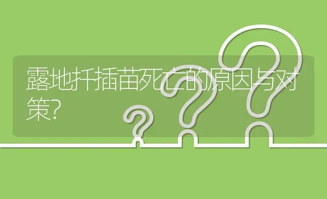 露地扦插苗死亡的原因与对策? | 养殖问题解答