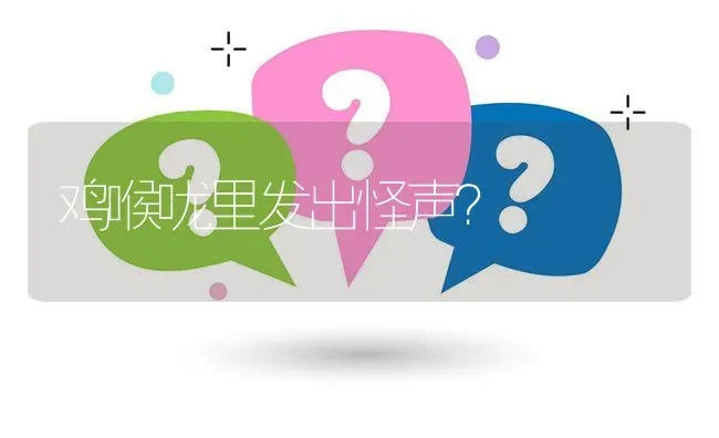 鸡喉咙里发出怪声? | 养殖问题解答