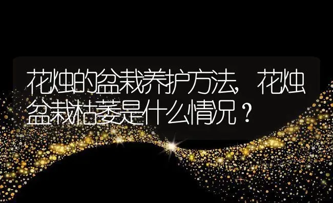 荷花花期多久,荷花几年能开花？ | 养殖常见问题