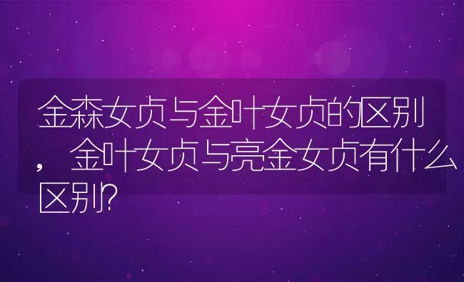 金森女贞与金叶女贞的区别,金叶女贞与亮金女贞有什么区别？ | 养殖常见问题