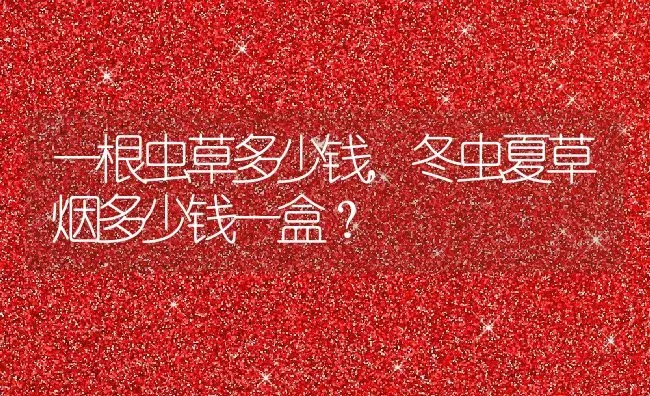 一根虫草多少钱,冬虫夏草烟多少钱一盒？ | 养殖常见问题