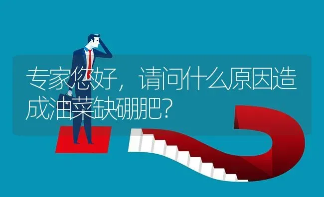 专家您好,请问什么原因造成油菜缺硼肥? | 养殖问题解答