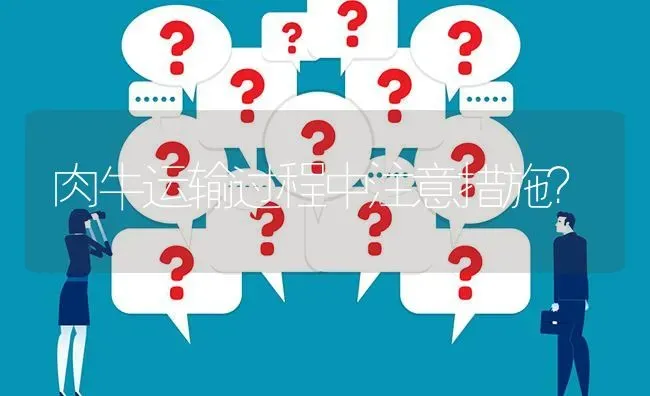 肉牛运输过程中注意措施? | 养殖问题解答