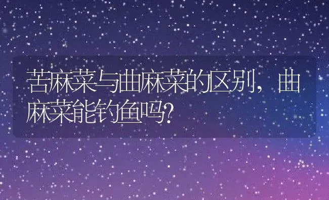 苦麻菜与曲麻菜的区别,曲麻菜能钓鱼吗？ | 养殖常见问题