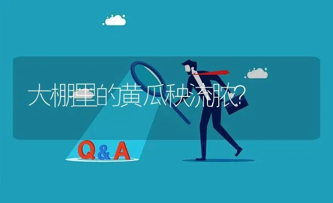 大棚里的黄瓜秧流脓? | 养殖问题解答