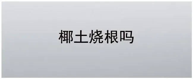 椰土烧根吗 | 农业常识