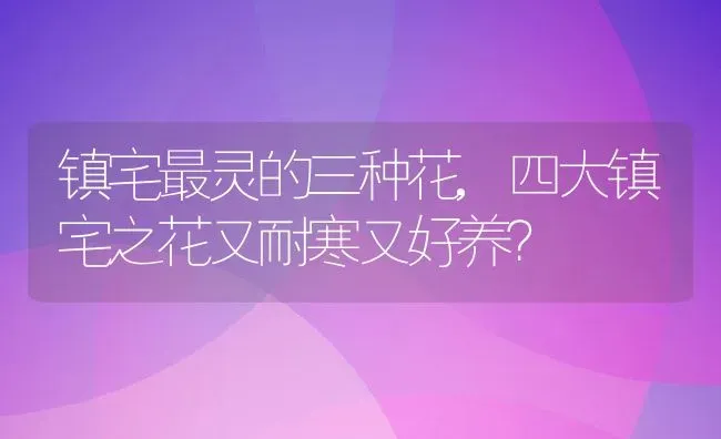 镇宅最灵的三种花,四大镇宅之花又耐寒又好养？ | 养殖常见问题