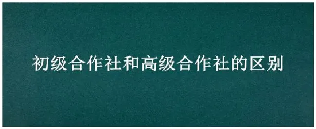 初级合作社和高级合作社的区别 | 科普知识