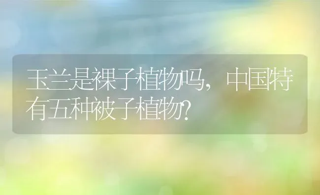 玉兰是裸子植物吗,中国特有五种被子植物？ | 养殖常见问题