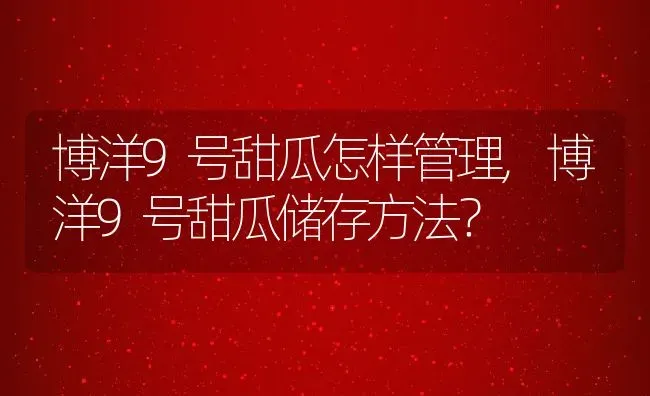 博洋9号甜瓜怎样管理,博洋9号甜瓜储存方法？ | 养殖常见问题