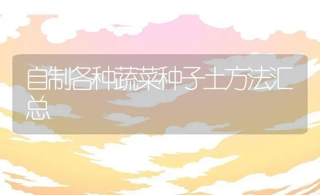 自制各种蔬菜种子土方法汇总 | 养殖常见问题
