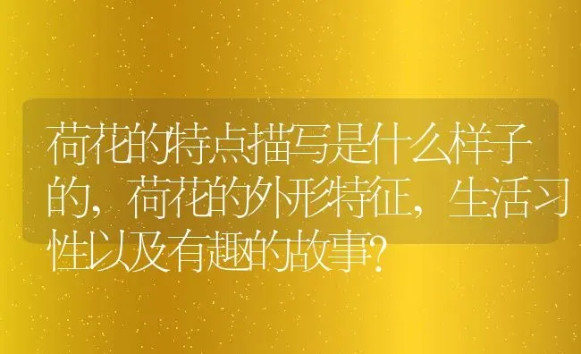 荷花的特点描写是什么样子的,荷花的外形特征,生活习性以及有趣的故事？ | 养殖常见问题
