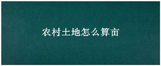 农村土地怎么算亩 | 三农答疑