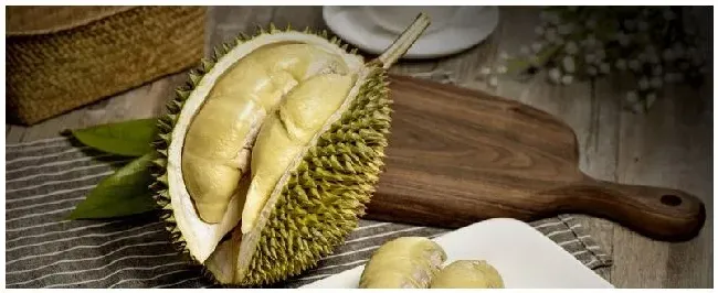 榴莲籽怎么种 | 农业问题