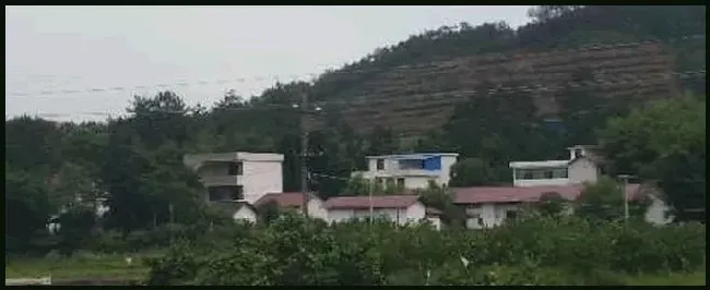 适合农村人的致富项目有哪些 | 农业问题