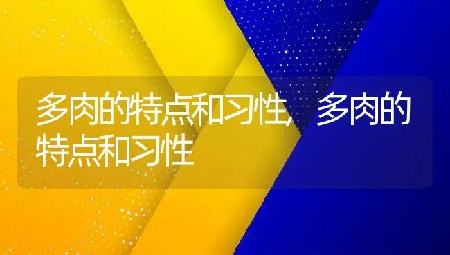 多肉的特点和习性,多肉的特点和习性 | 养殖常见问题