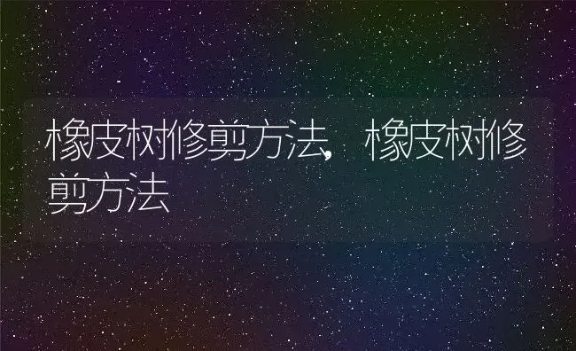 橡皮树修剪方法,橡皮树修剪方法 | 养殖常见问题